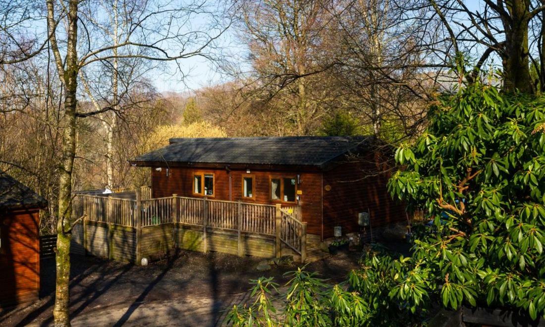 Owls House, White Cross Bay, Ambleside, Windermere Extérieur photo