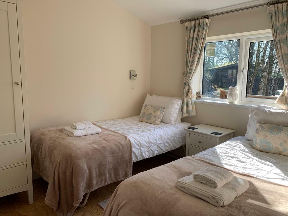 Owls House, White Cross Bay, Ambleside, Windermere Extérieur photo